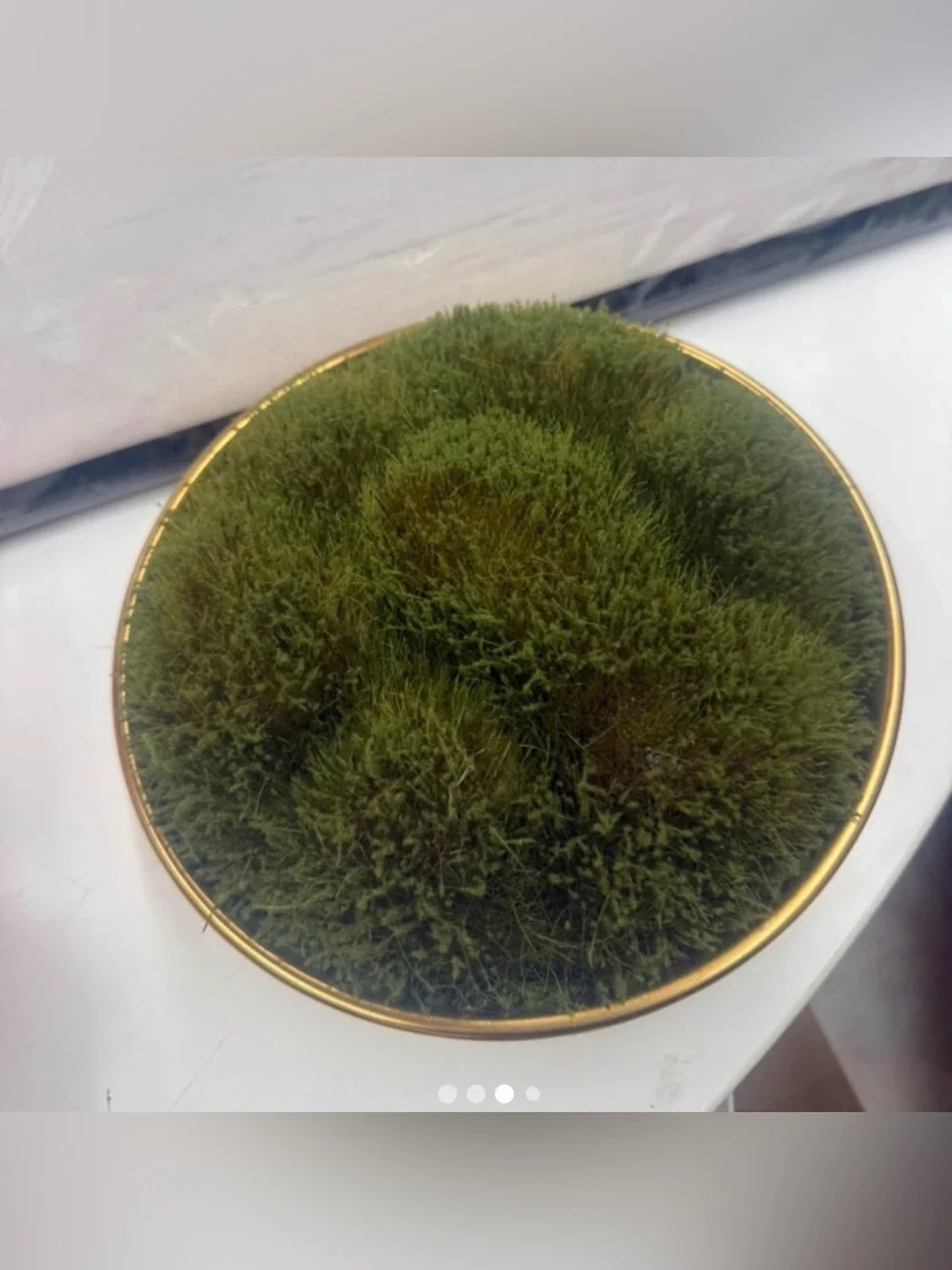 Gold Decorative Bowl with Green Moss Accent- Threshold